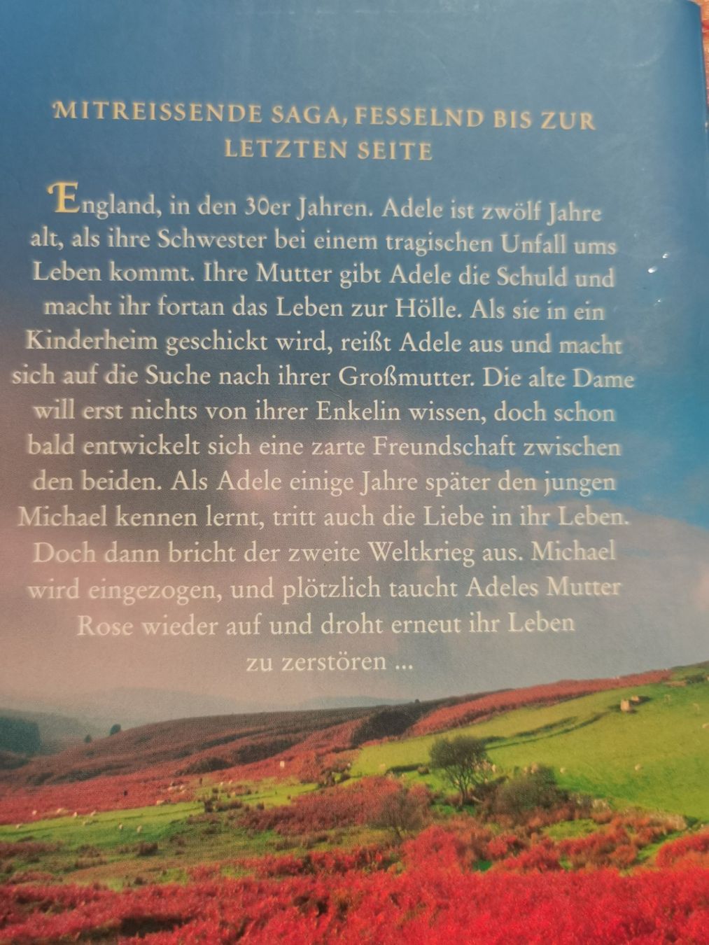 Libri: Lesley Pearse, Der Wind trägt dein Lächeln – Usato da Kölliken venduto da mar5742 1