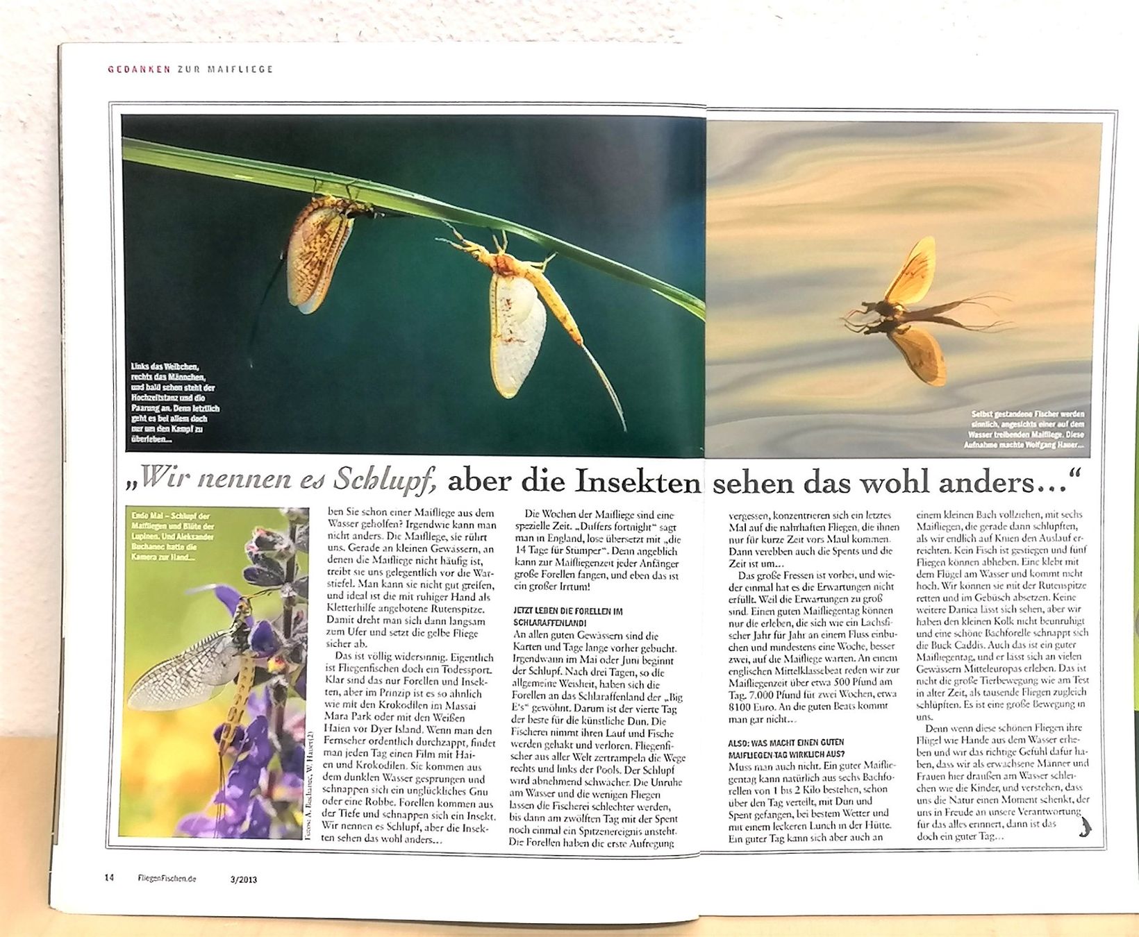 Riviste & Magazine: FliegenFischen – Nr. 3/2013 – Usato da Reinach BL venduto da fliegenrolli 3