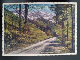 Alte AK Melchtalerstrasse Wild Geissberg Gruppe
