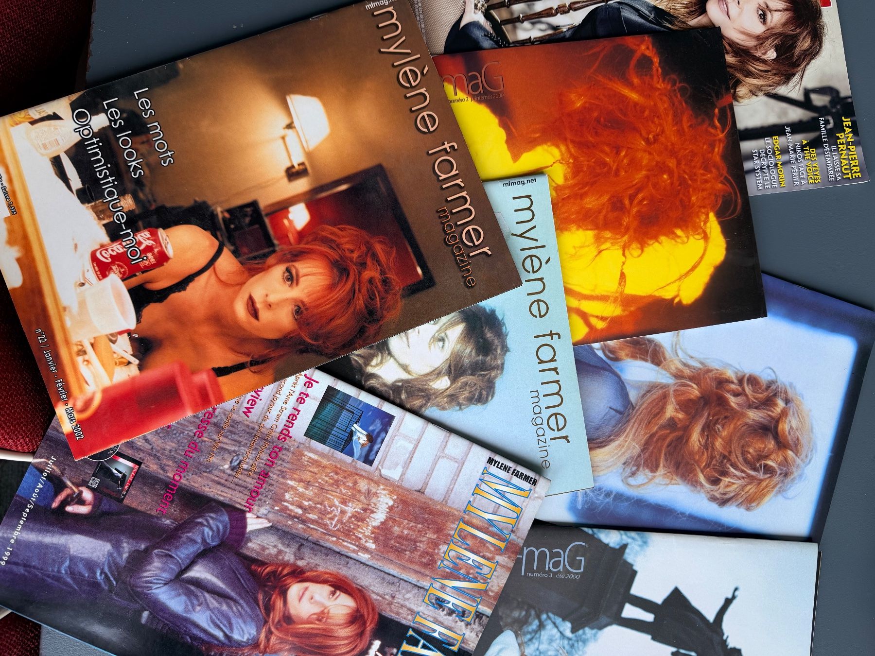 Libri: Mylène Farmer – Usato da lausanne venduto da 021ludovic