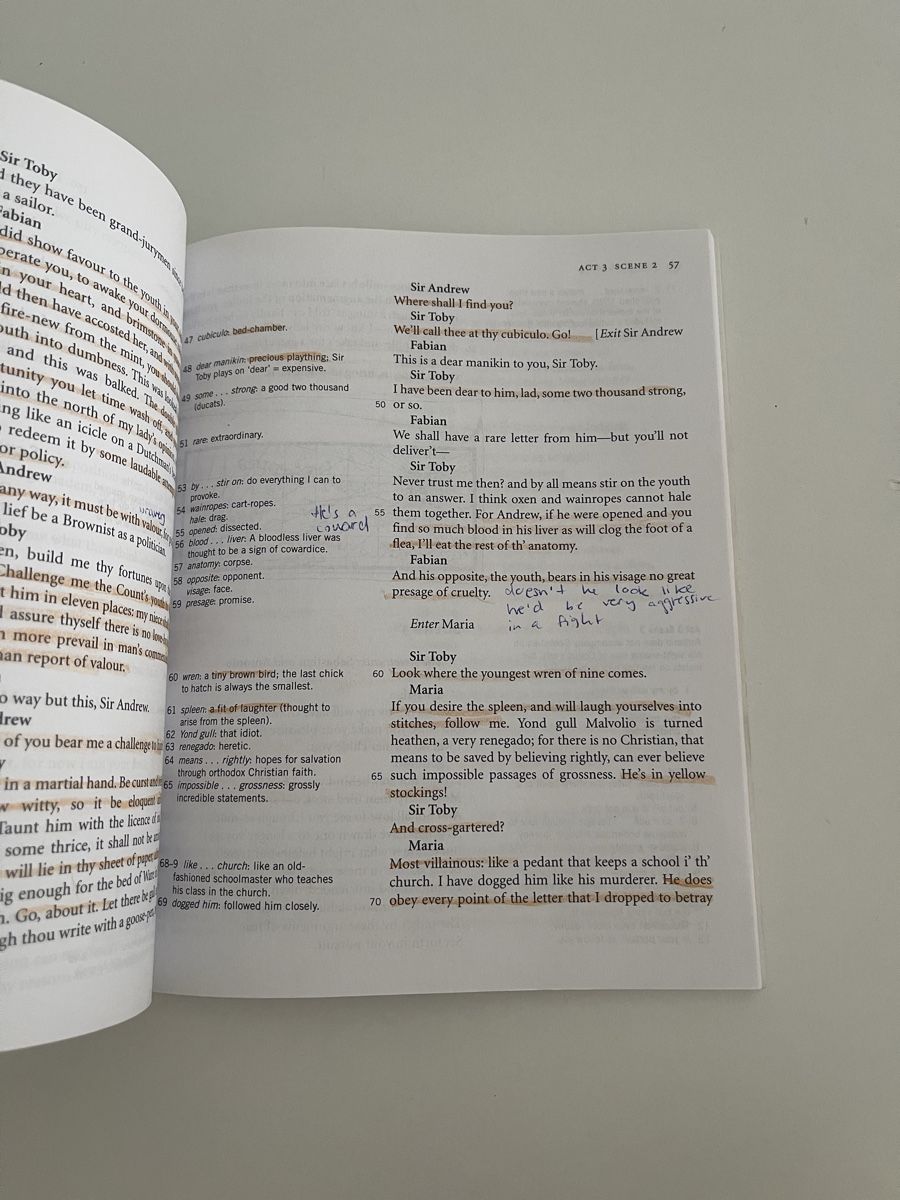 Bücher: Twelfth Night von William Shakespeare – Gebraucht aus Neuenegg von aba_g85b 1