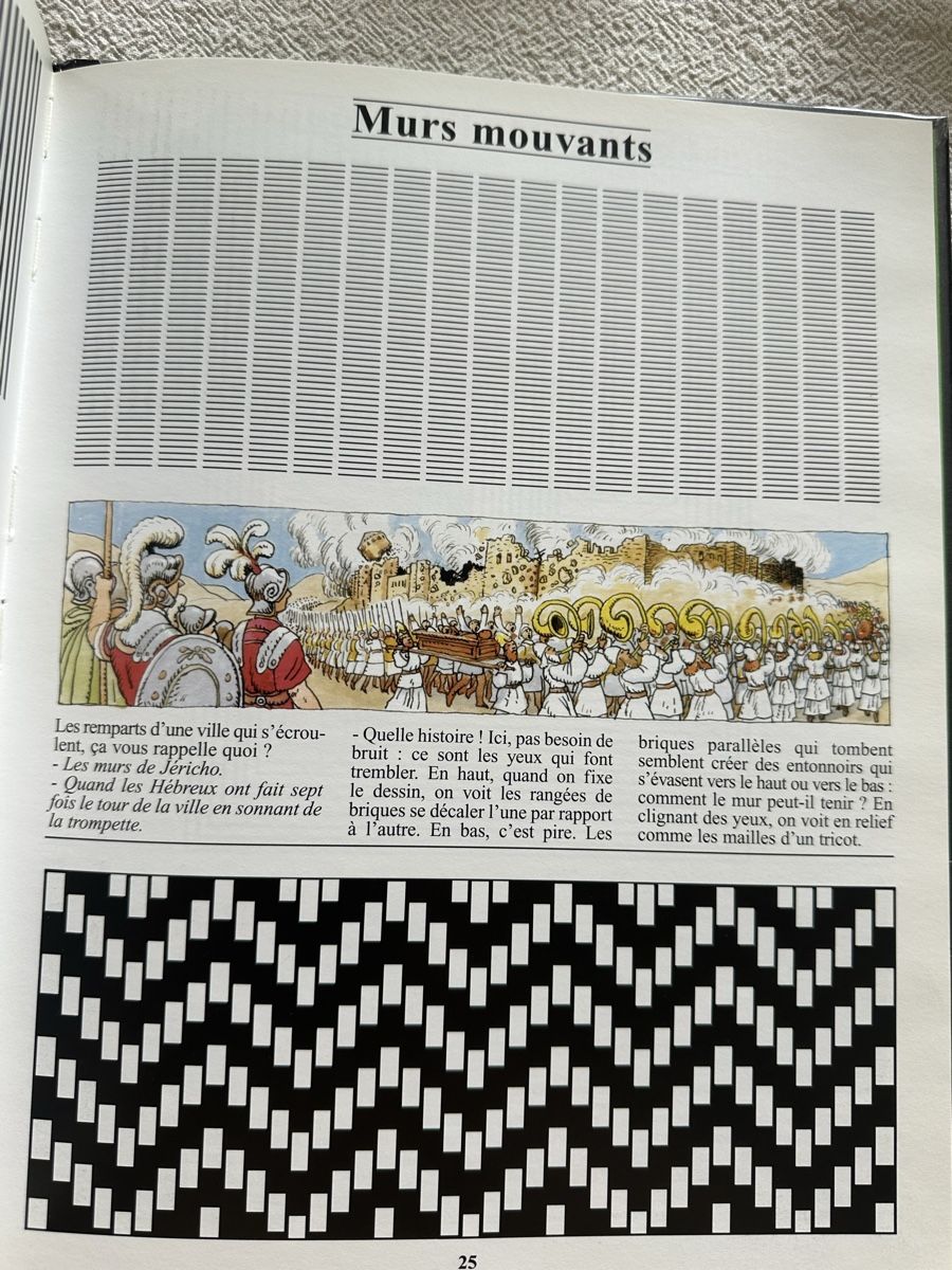Libri: Les plus belles illusions optiques – Usato da Les Bioux venduto da ann_g9bh 5