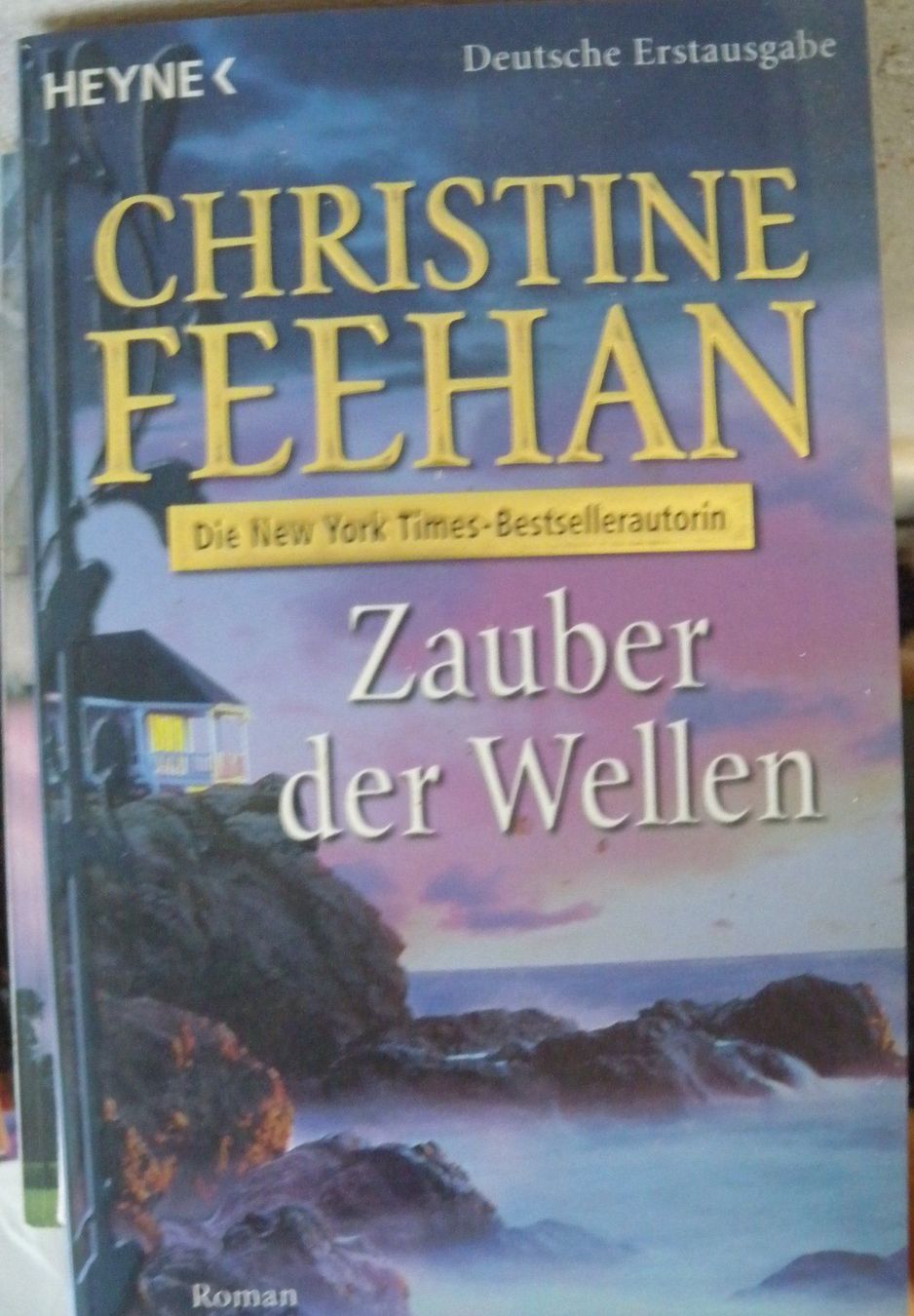 Libri: zauber der wellen – Usato da Hauenstein venduto da Danbach