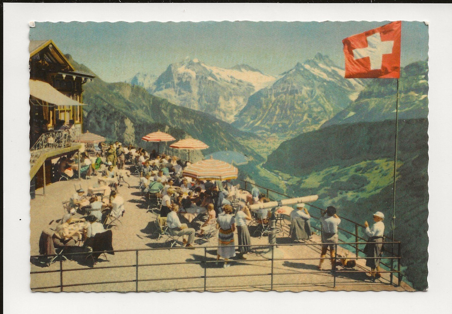 Cartoline postali: AK 1955 Schynige Platte sehr belebt – Usato da Greifensee venduto da 315WDO