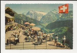 AK 1955 Schynige Platte sehr belebt