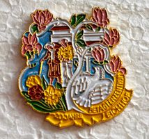 Pin Simone Erni - Betagtenzentrum Eichhof