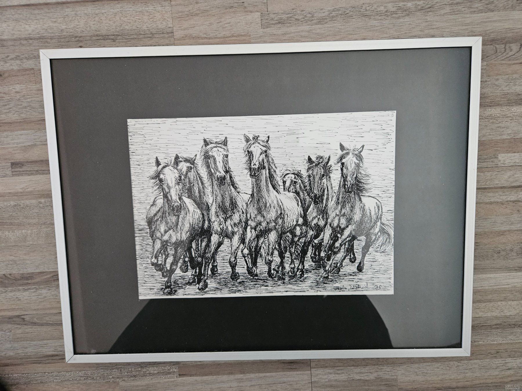 Foto & Immagini: wilde Pferde – Usato da Studen BE venduto da Pension0 2