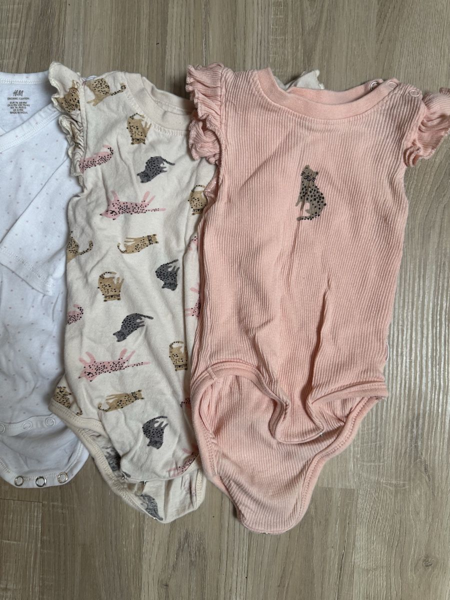 Lotti & Set di vestiti: Body für Mädchen, Größe 74 – Usato da Grindel venduto da Viktoriia09 1