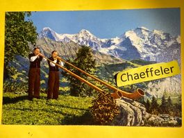 Alphornbläser mit Eiger - Mönch - Jungfrau