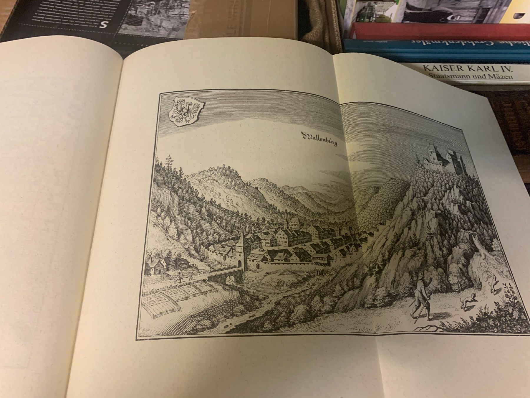 Bücher: Lot 20 Bücher Geschichte Mittelalter – Gebraucht aus Riehen von MaestroImperatore 3
