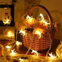 6m LED Lichterkette Mond & Sterne für Weihnachten