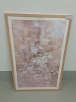 Naturbild Livique 90x60 Eichholzrahmen und Glas, neu