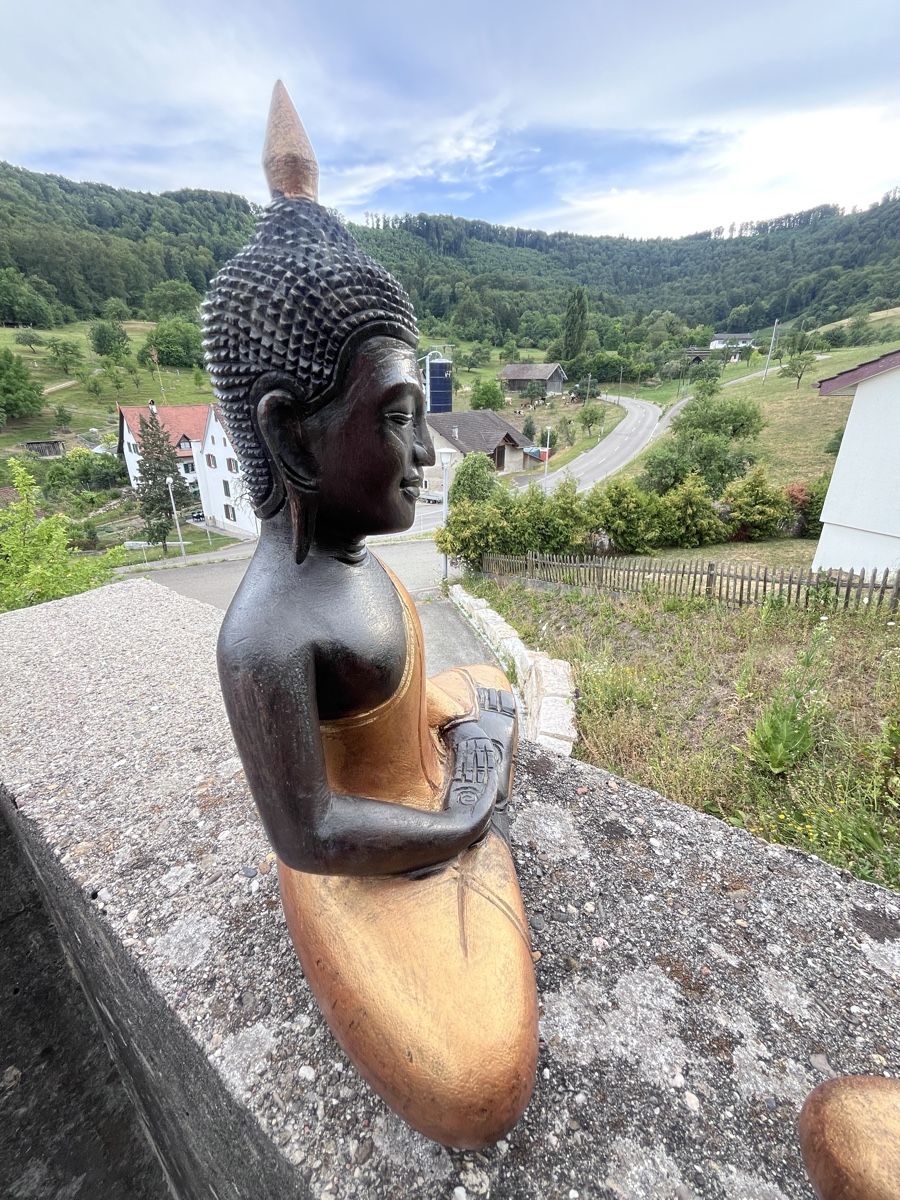 Sculture & Statue: 3 handgeschnitzte Holz-Buddhas aus Kambodscha – Nuovo (secondo la descrizione) da Büsserach venduto da Cabstardwarf3 9