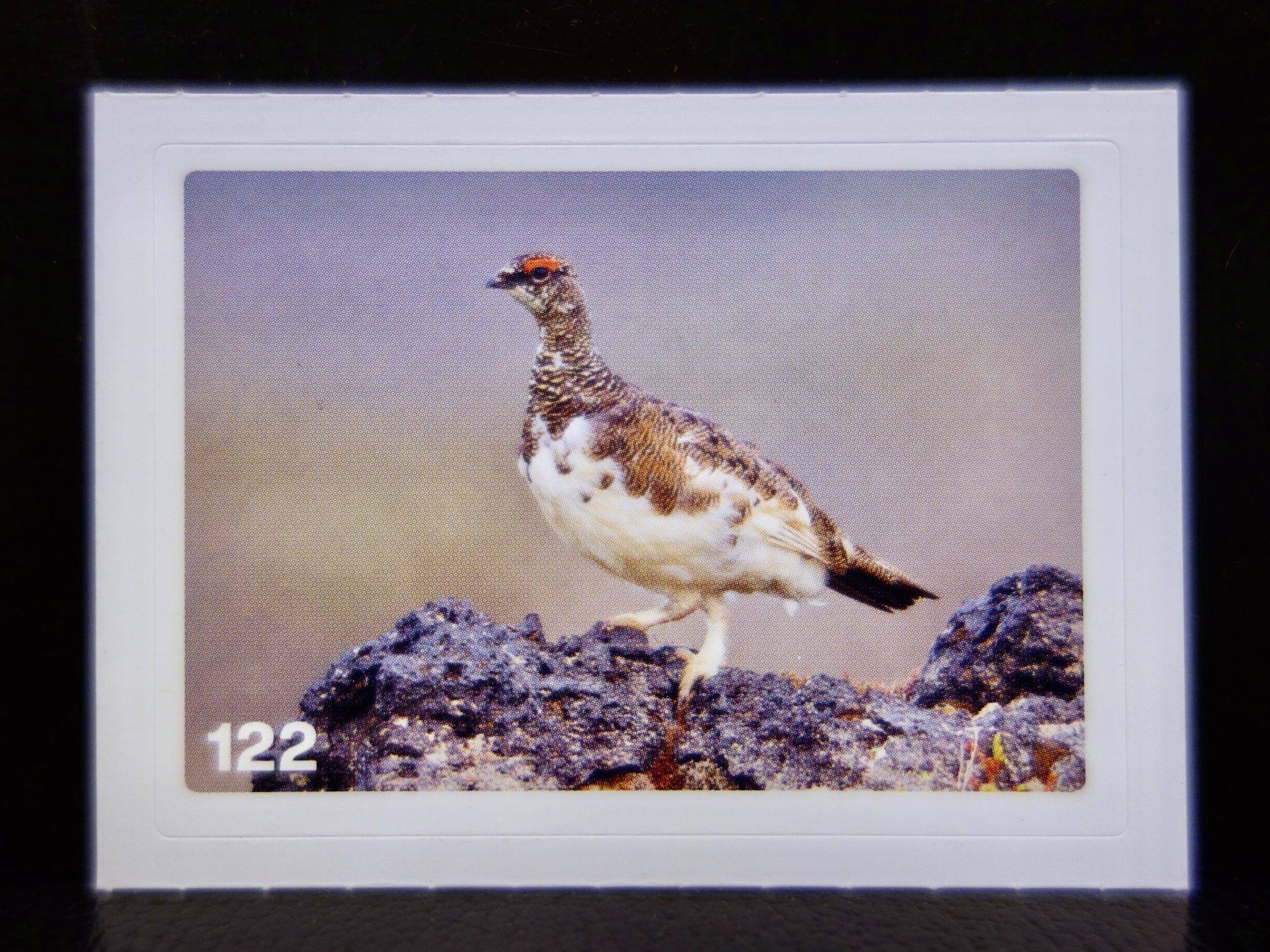 Migros Carte collezionabili: MIGROS MANIA Nature Detectives Nr. 122 – Nuovo e nell'imballaggio originale da Kerzers venduto da djstarsky73