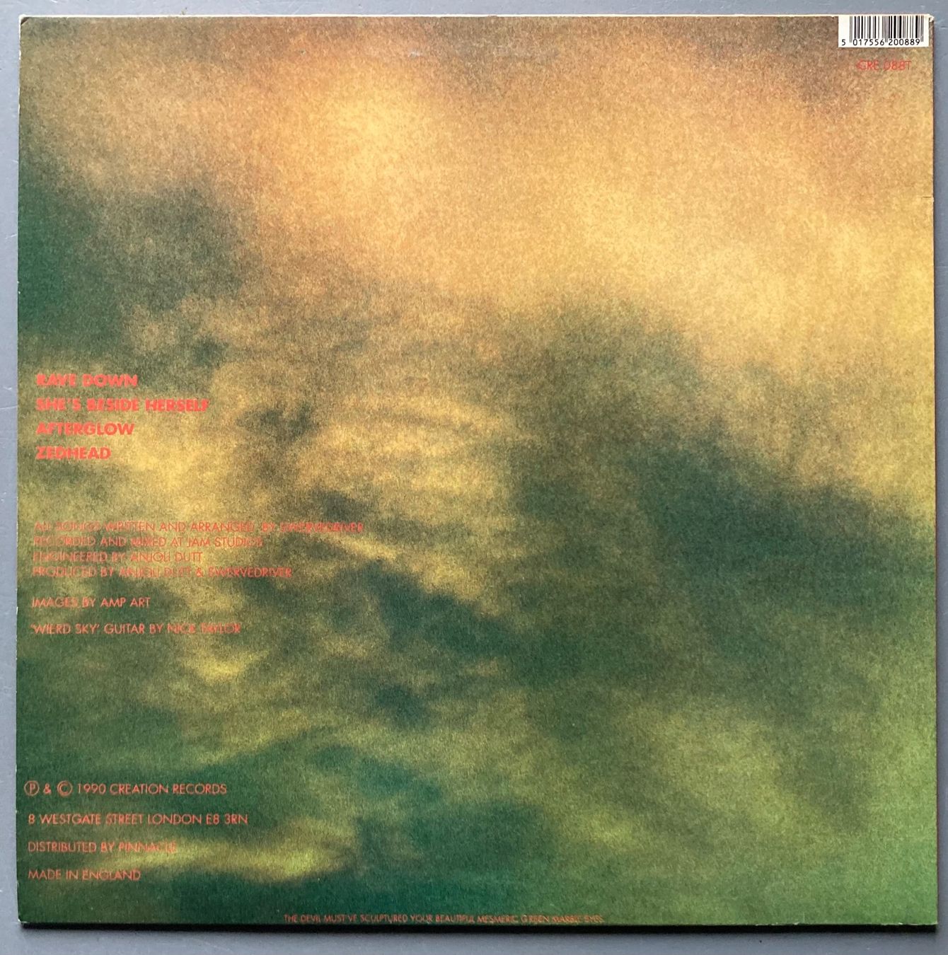 Dischi in vinile: SWERVEDRIVER - RAVE DOWN – Usato da Poliez-Pittet venduto da Newtown-Records 1