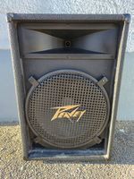 Peavey ES-15