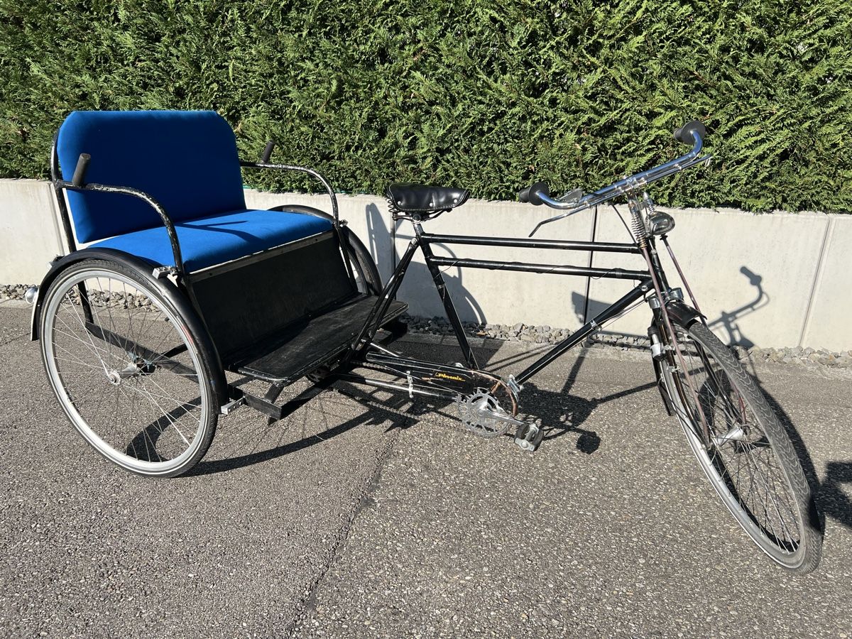 Biciclette: Rikscha Phoenix mit Verdeck zum abnehmen  – Usato da Härkingen venduto da Mada90 3