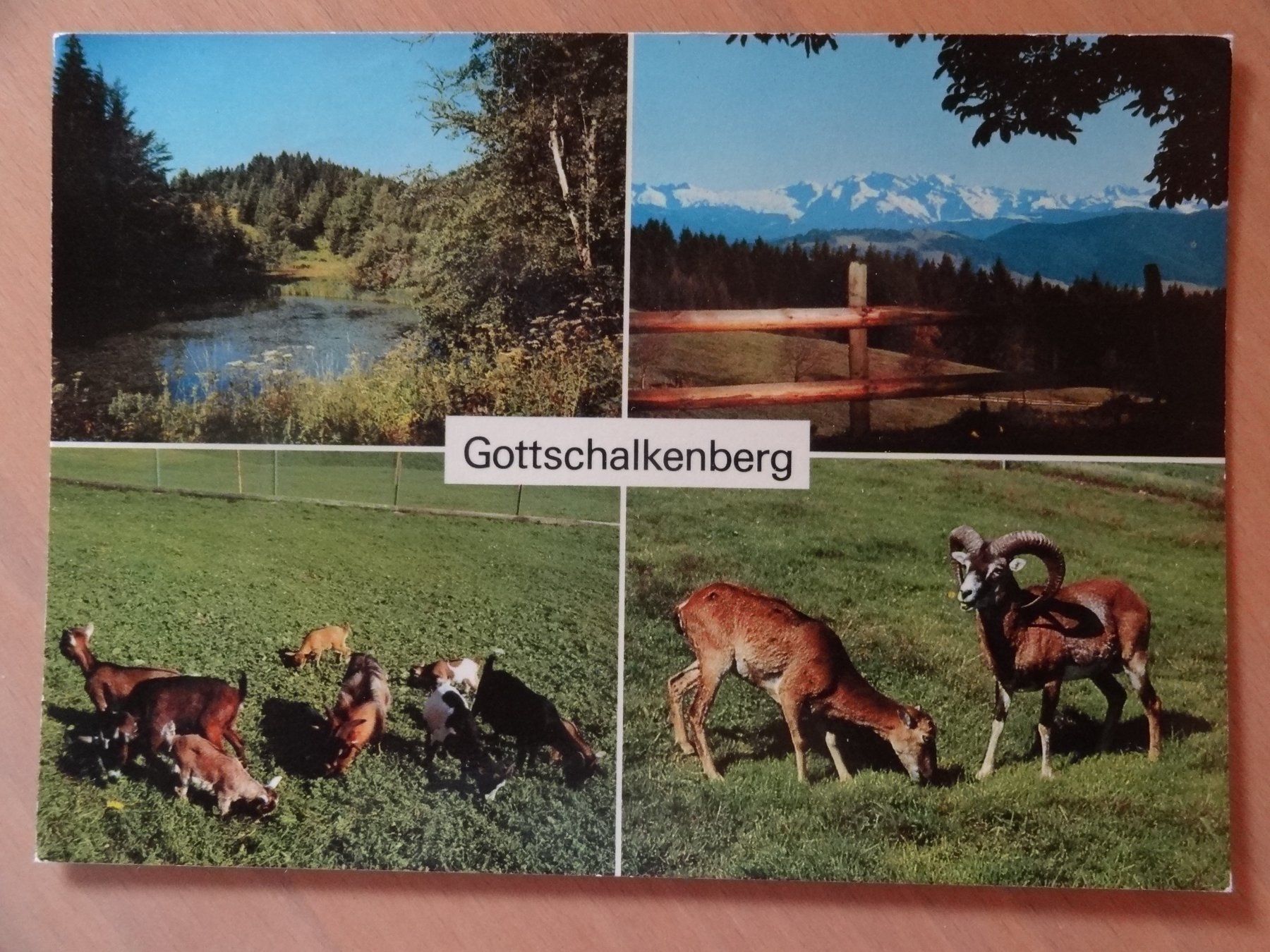 Ansichtskarten: Restaurant Gottschalkenberg - ZG - 1978 – Gebraucht aus St Léonard von Riglin