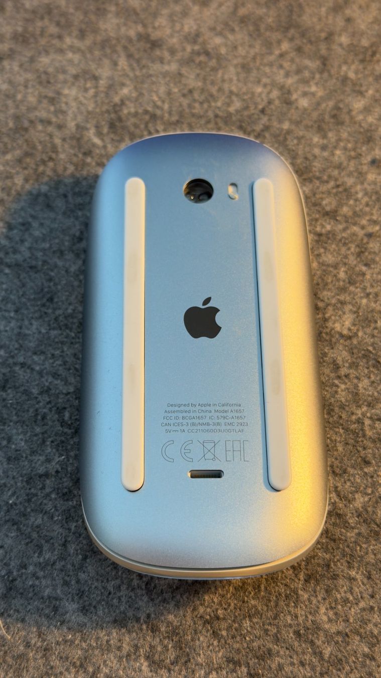 Apple Mouse: Original Apple Magic Mouse - Silber/Blau – Usato da Romanshorn venduto da Coffee_Panda 1