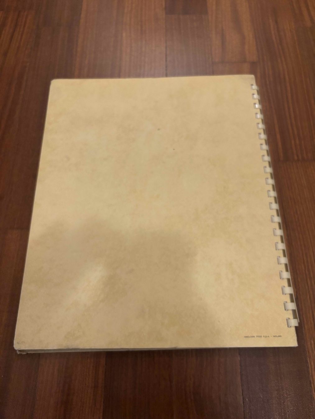Bücher: Masaccio – Gebraucht aus Lugano von Mark_Young 1