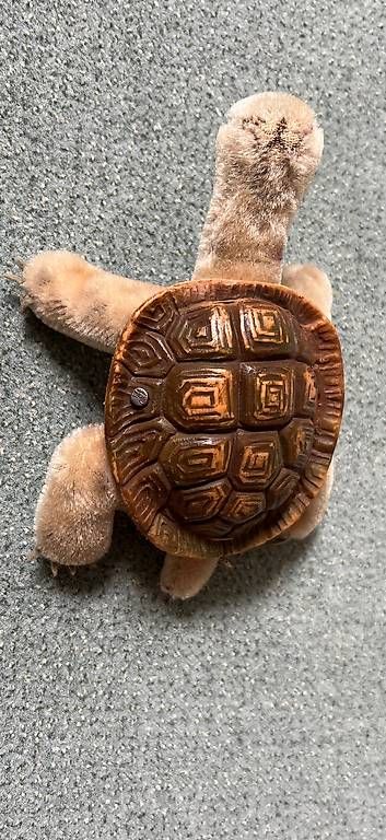 Giocattoli: Steiff Vintage Schildkröte Slo  – Usato da Zürich venduto da Voerny 3