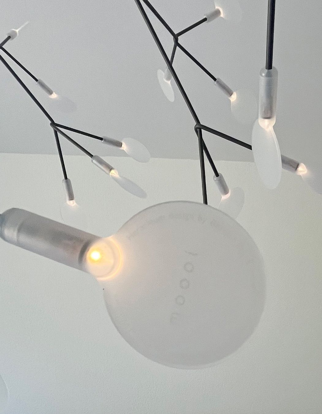Moooi Lampadari & plafoniere: moooi Heracleum Hängeleuchte – Nuovo (secondo la descrizione) da Ehrikon venduto da ricardese 2