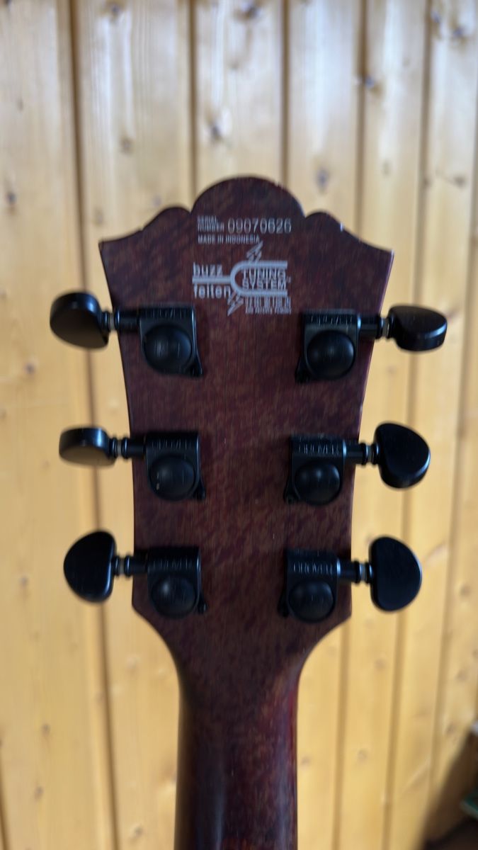 Washburn Musikinstrumente: Washburn Idol E-Gitarre + Hercules-Ständer – Gebraucht aus Niederlenz von CHAUsHypeWorld 5