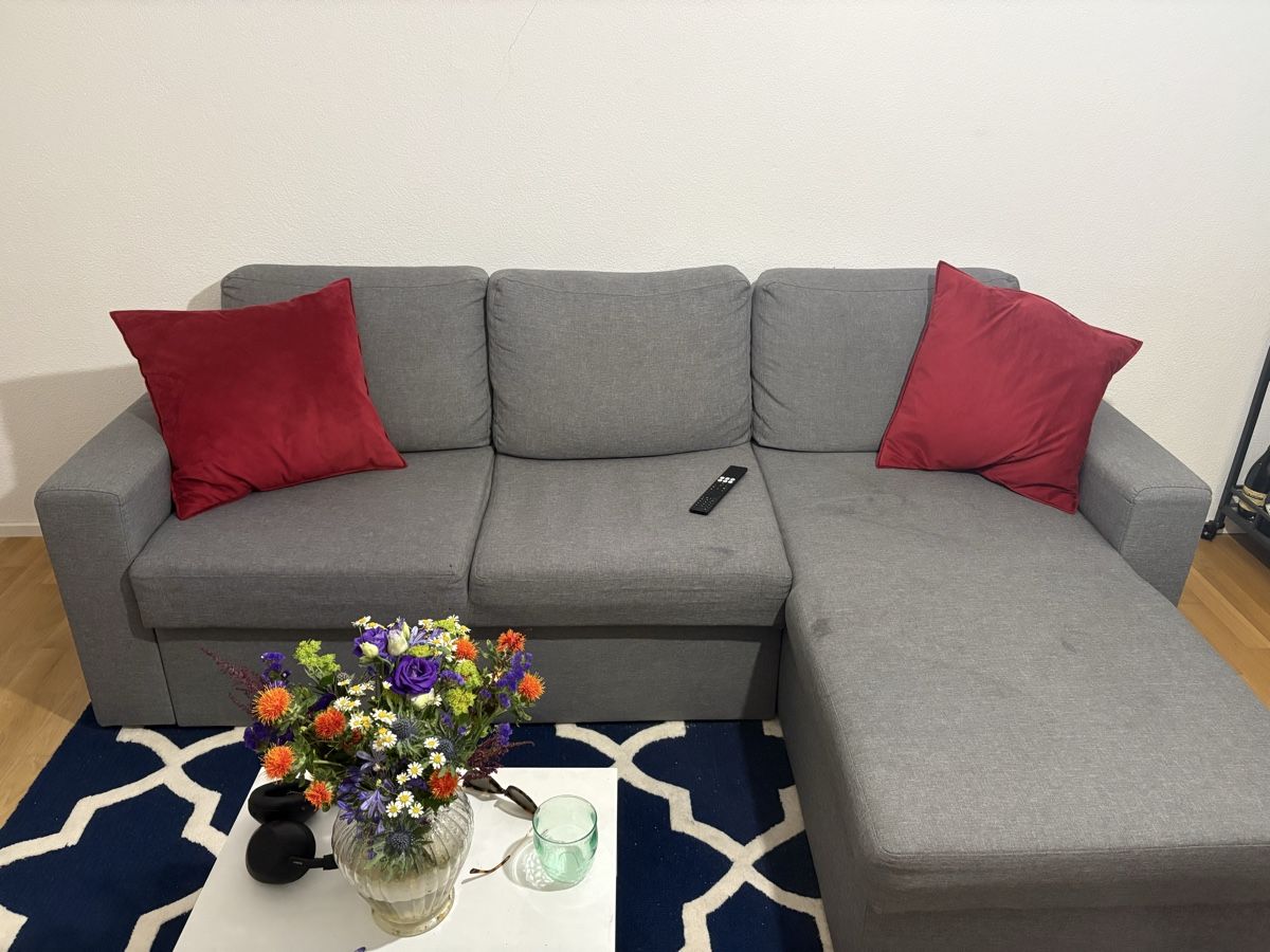 Conforama Divani: Great Quality Cats Conforama Couch – Usato da ZURICH venduto da Redona18