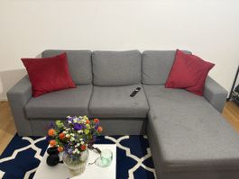 Great Quality Cats Conforama Couch 
