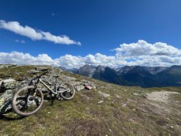 Orbea Occam SL M10 2024 - Grösse M - servicegepflegt