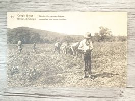 TR60 Carte Postale + Timbre 19xx Congo - Belge