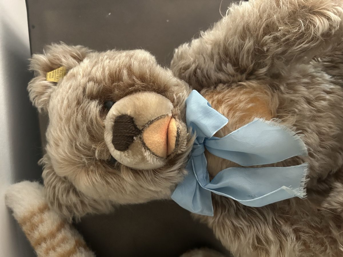 Steiff Jouets: 2 Steiff Tiere Katze und Bär  – D'occasion à Hochfelden par larson27 8