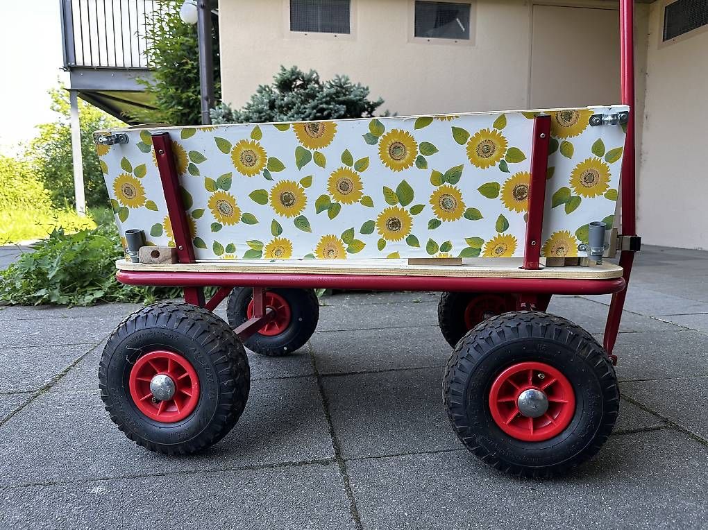 Carrelli di trasporto: Fasnachts-Leiterwagen – Usato da Luzern venduto da Birchermesli 1