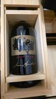 Continuum 2013 Doppelmagnum