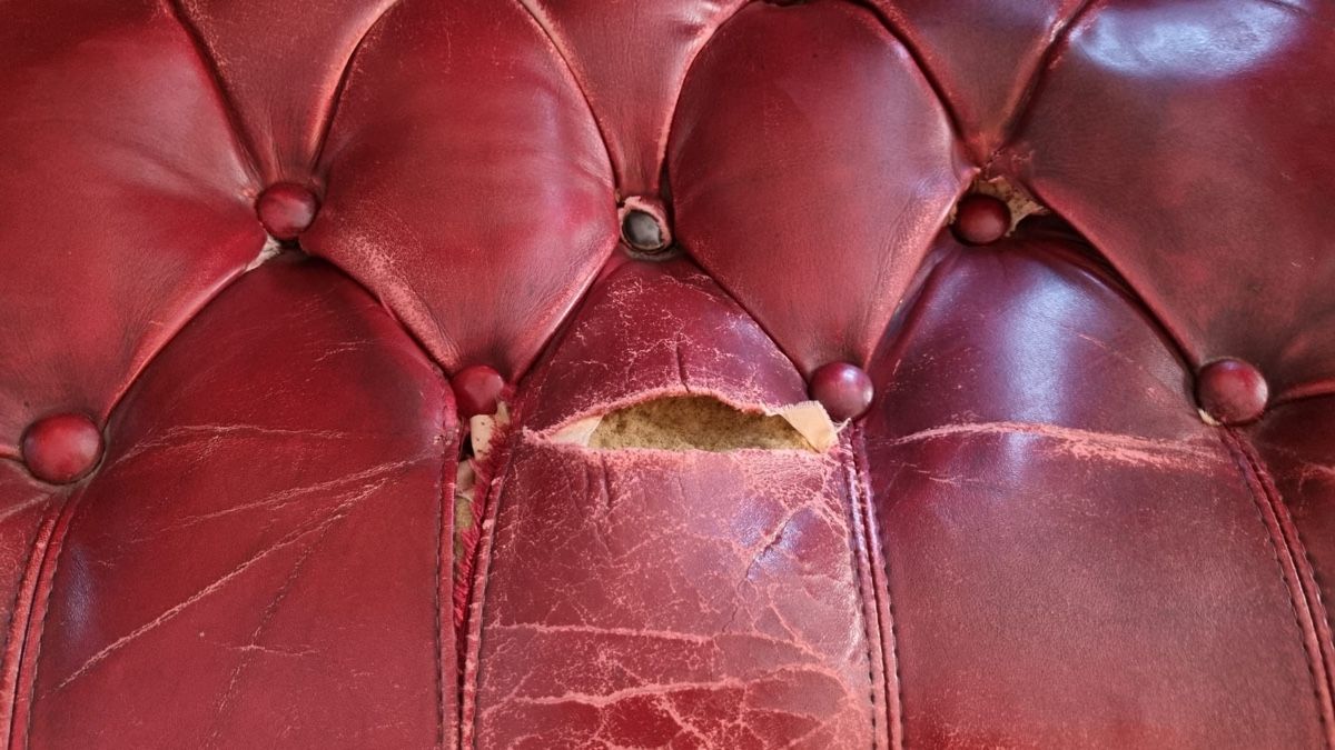 Sessel: 3 Sessel im Chesterfield Stil – Gebraucht aus Wohlen AG von Baboom 3