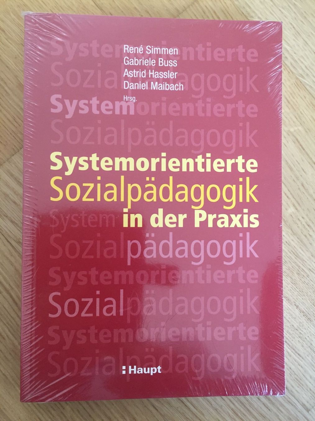 Libri: Systemor.Sozialpäd. In der Praxis – Usato da Stettlen venduto da Hansj