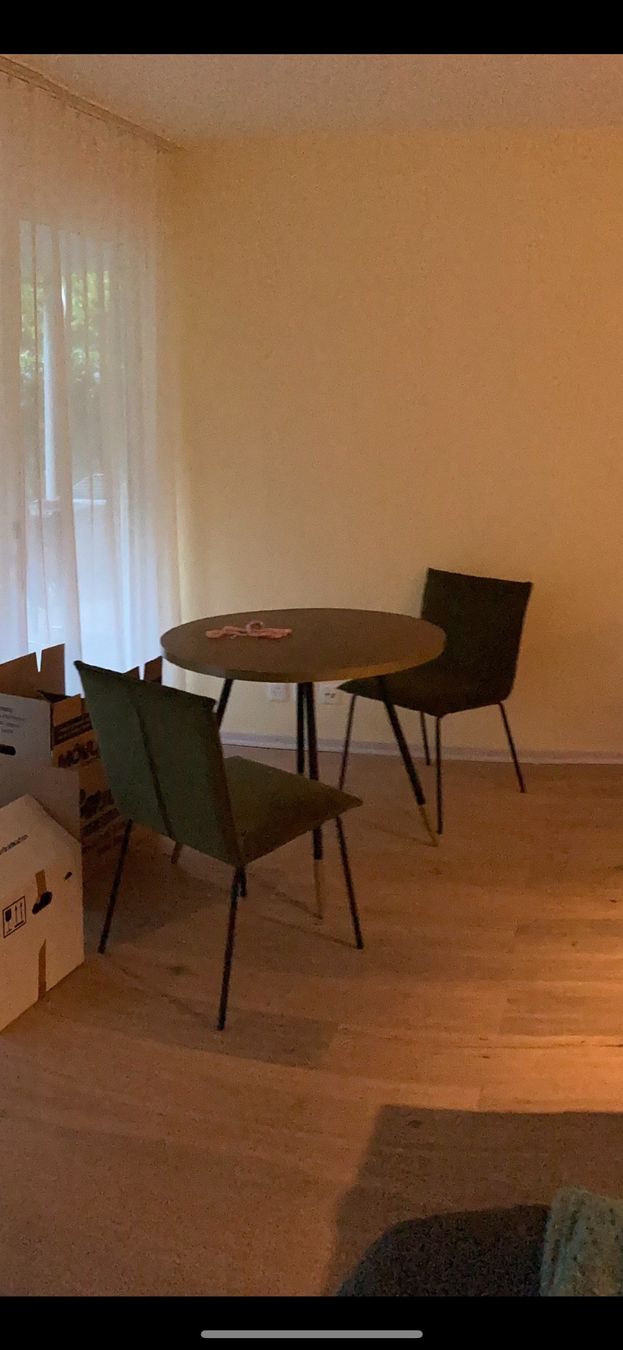 Sedie: 2x Dining chair Room05 Floke – Usato da Zürich venduto da ivn_pr75 2