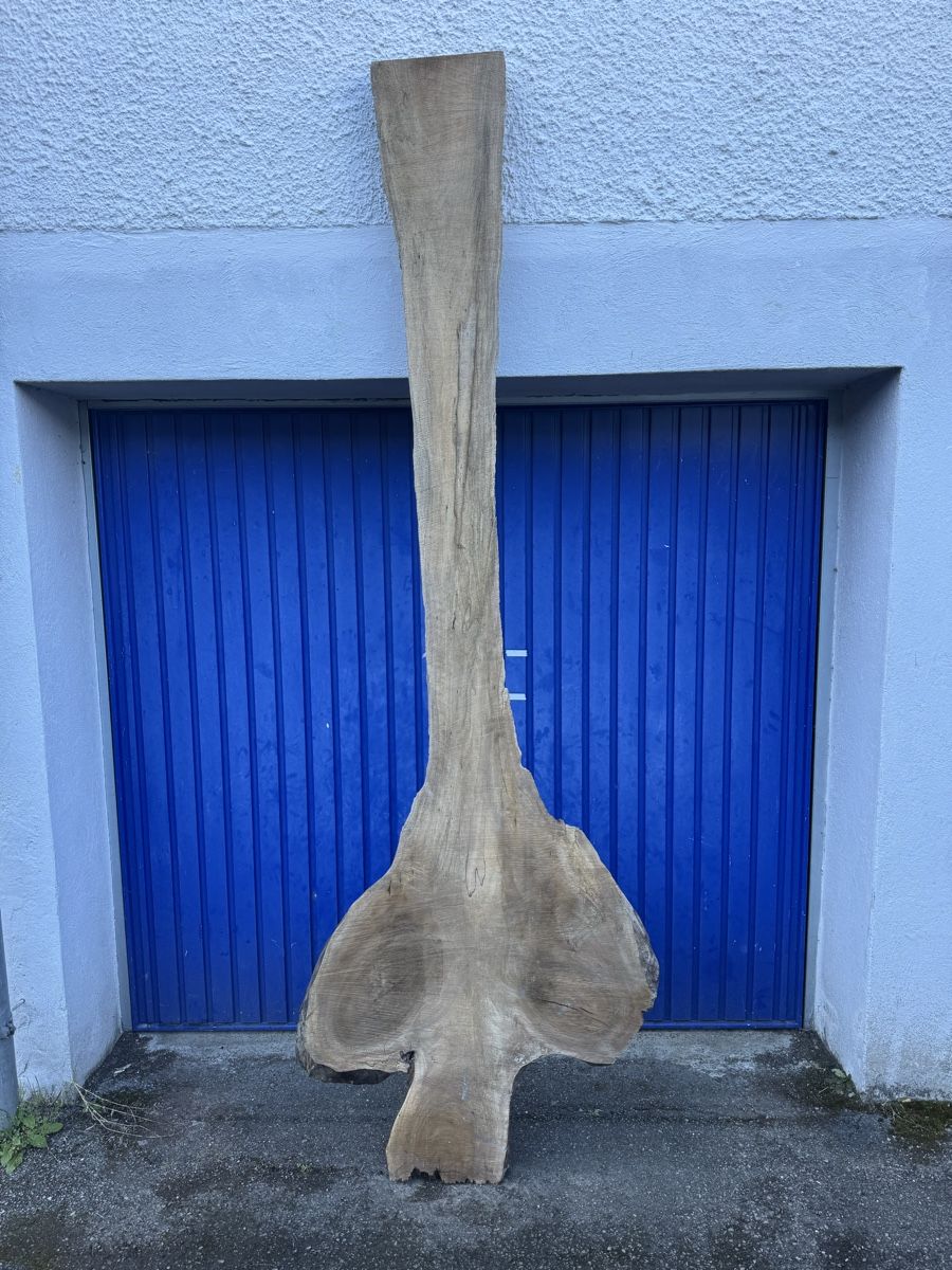 Articoli in legno: Nussbaum Klotzbrett 260  cm lang! – Usato da Gränichen venduto da onkel_xxl 5