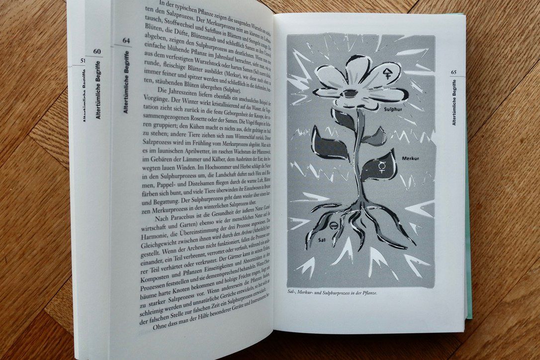 Libri: Der Kosmos im Garten – Nuovo (secondo la descrizione) da Basel venduto da MLIB09 5
