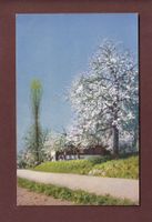 LANDSCHAFT - Frühling