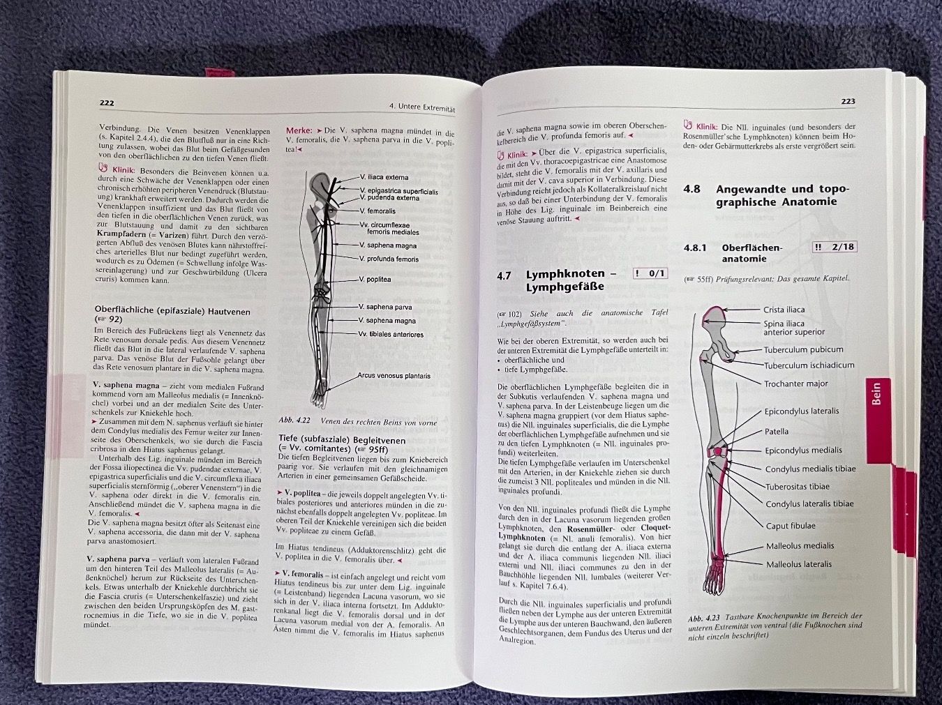 Libri: Lehrbuch Anatomie (Moll) – Usato da Muri AG venduto da lo.ren93 1