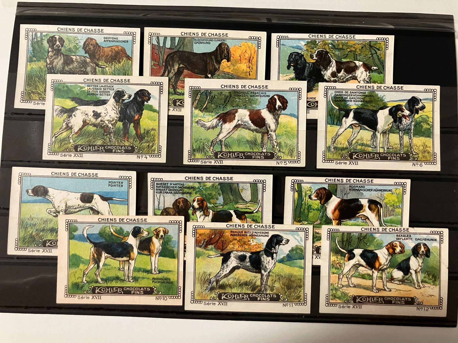Cartoline postali: Kohler Werbe Vignetten, Jagdhunde 1-12 – Usato da Würenlos venduto da Eulenpostuhu