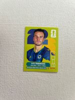 Panini BIH 20