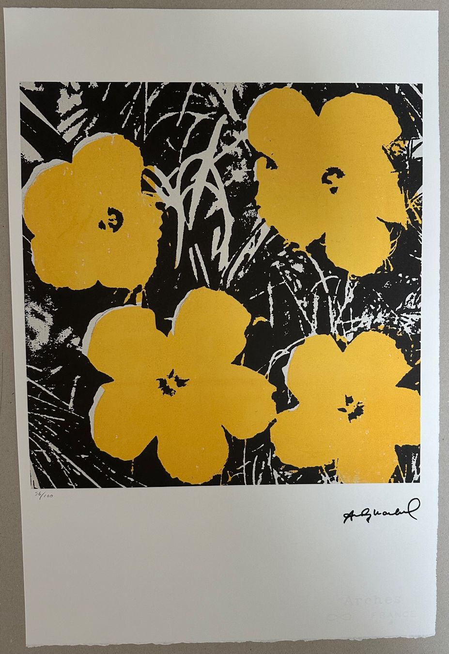 Foto & Immagini: Andy Warhol: Flowers 56/100 – Nuovo (secondo la descrizione) da Meilen venduto da Smgdesign