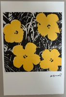 Andy Warhol: Flowers 56/100