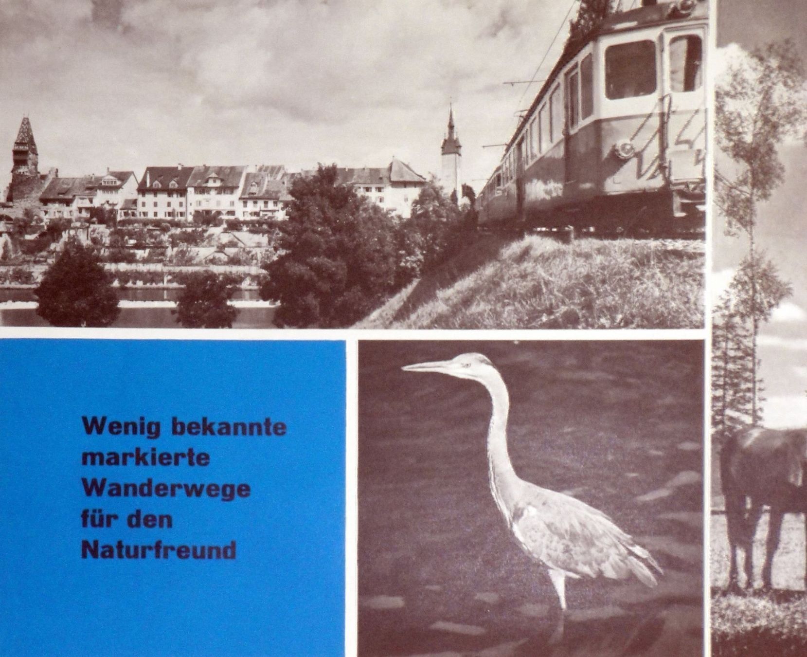 Poster & Bilder: Mit der Bahn in das Freiamt u. Seetal – Gebraucht aus Eggenwil von Joyart 1