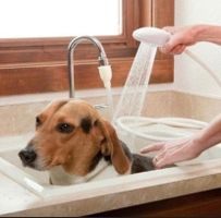 Dusche für Hund,Katze,Tier und Mensch usw. NEU!