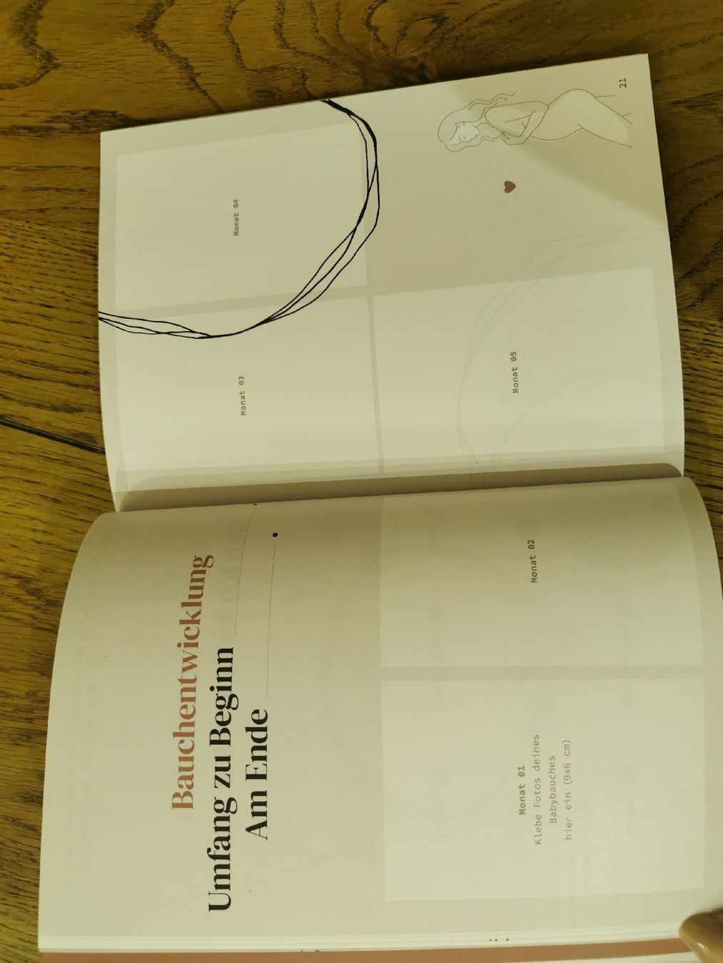 Libri: Schwangerschafts-Tagebuch Kugelgeschichte – Nuovo e nell'imballaggio originale da Saas Grund venduto da blubb07 1