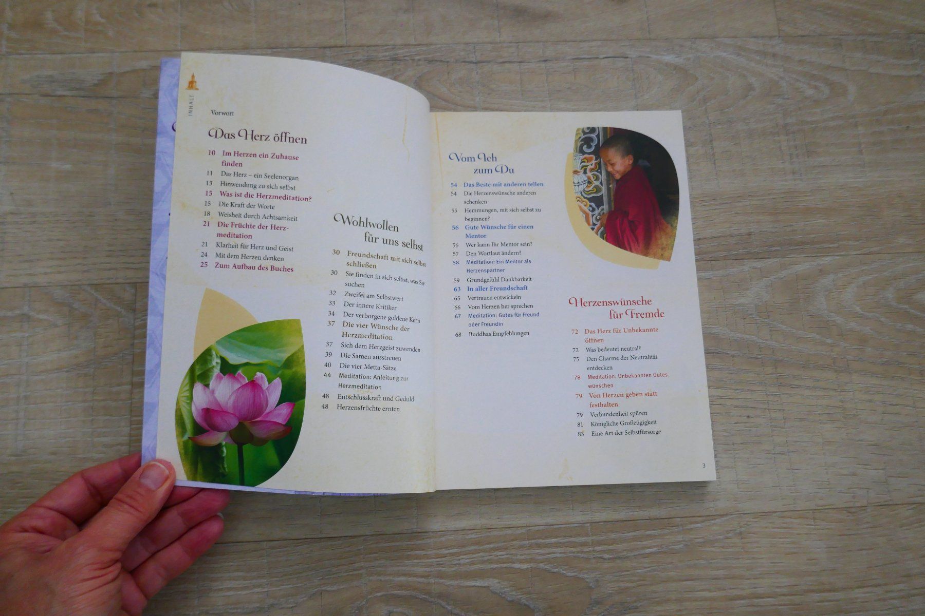Libri: Buddhas Herzmeditation, Buch ohne CD – Usato da Port venduto da uzuku 3