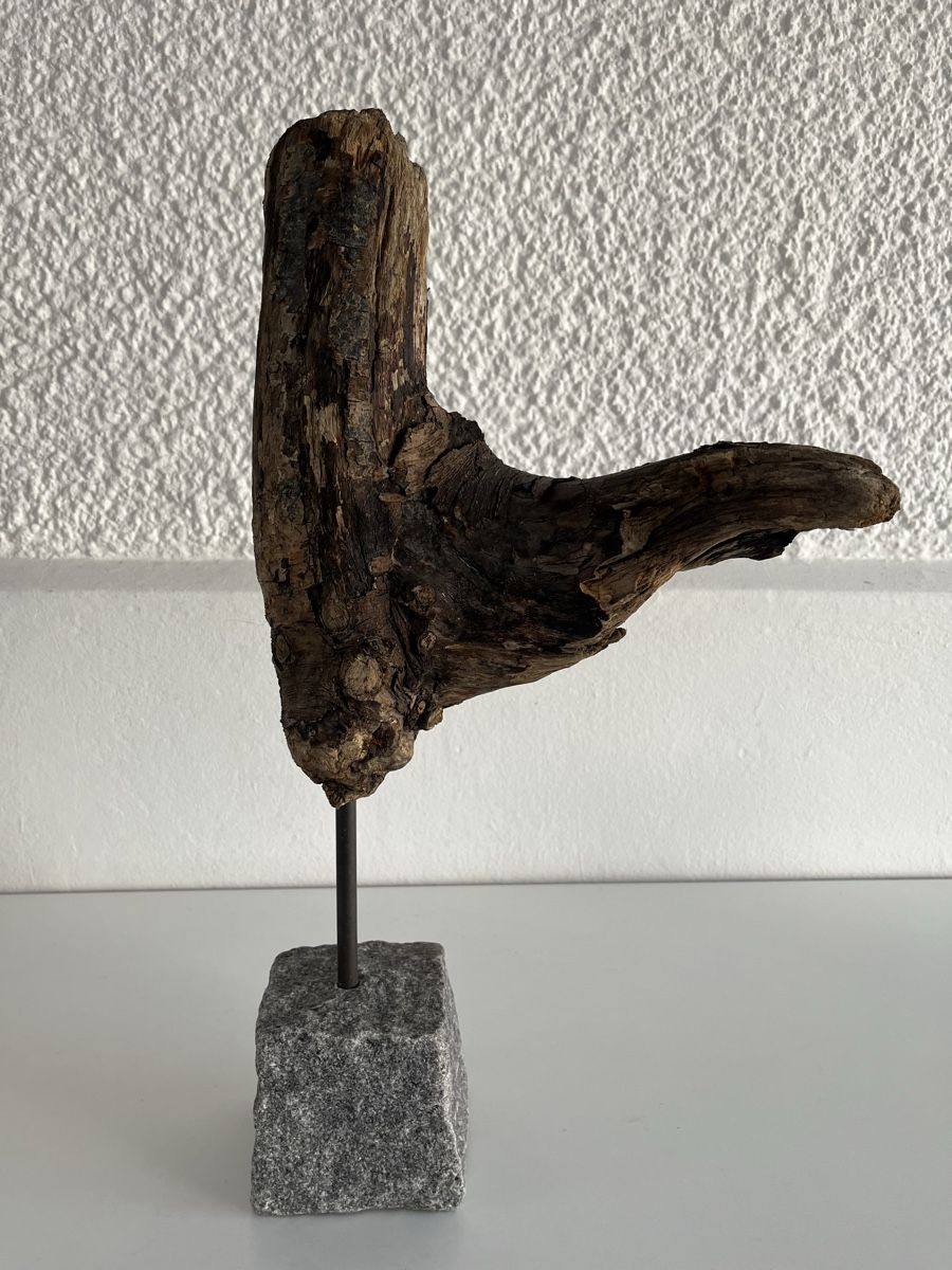 Sculture & Statue: Schwemmholz Skulptur – Usato da Wetzikon ZH venduto da seli03